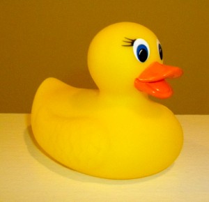 Rubber Duck